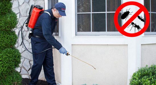 Sivrice Akrep İlaçlama böcek ilaçlama ve haşere kontrolü — ilaclama-tr.com
